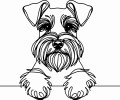 Pies w stylu line-art Schnauzer