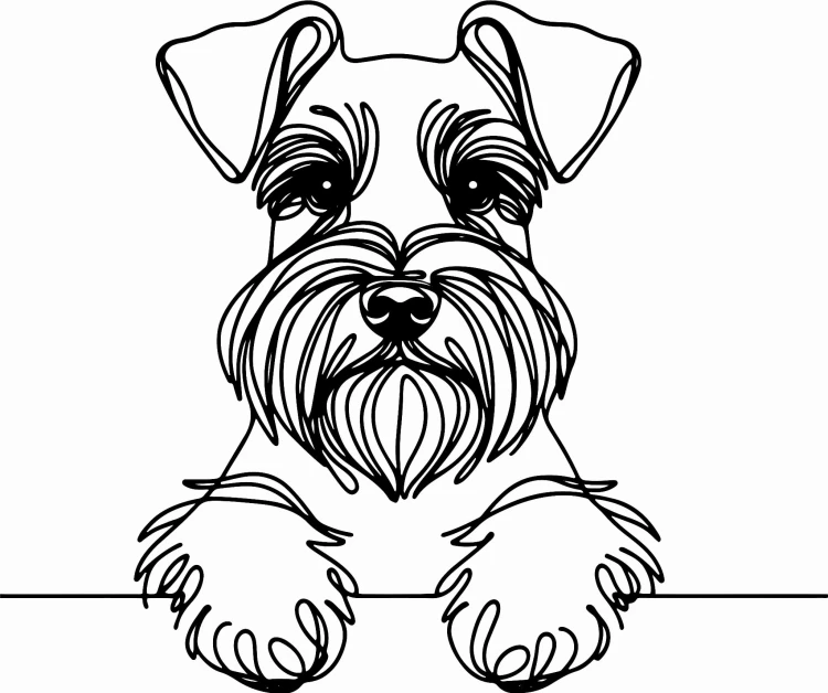 Pies w stylu line-art Schnauzer
