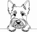Pies w stylu line-art Scottish Terrier