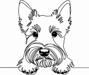 Pies w stylu line-art Scottish Terrier
