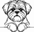Pies w stylu line-art Shih Tzu