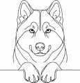 Pies w stylu line-art Siberian Husky