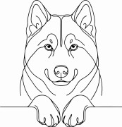 Pies w stylu line-art Siberian Husky