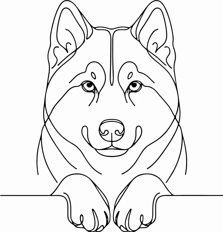 Pies w stylu line-art Siberian Husky