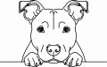 Pies w stylu line-art Staffordshire Bull Terrier