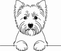 Pies w stylu line-art West Highland White Terrier