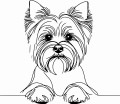 Pies w stylu line-art Yorkshire Terrier