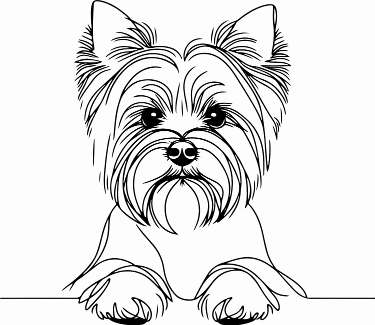 Pies w stylu line-art Yorkshire Terrier