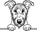 Pies w stylu line-art Irish Wolfhound