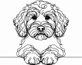 Pies w stylu line-art Cockapoo