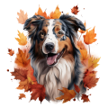 Jesienny kubek z psem – Australian Shepherd