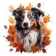 Jesienny kubek z psem – Australian Shepherd