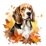 Jesienny kubek z psem – Beagle