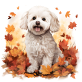 Jesienny kubek z psem – Bichon Frise