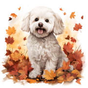 Jesienny kubek z psem – Bichon Frise