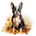 Jesienny kubek z psem – Boston Terrier
