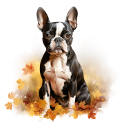 Jesienny kubek z psem – Boston Terrier