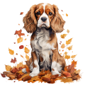Jesienny kubek z psem – Cavalier King Charles Spaniel