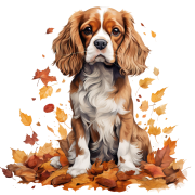 Jesienny kubek z psem – Cavalier King Charles Spaniel