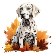 Jesienny kubek z psem – Dalmatian