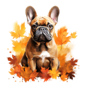 Jesienny kubek z psem – French Bulldog