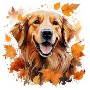 Jesienny kubek z psem – Golden Retriever