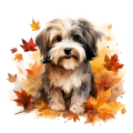 Jesienny kubek z psem – Havanese