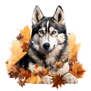 Jesienny kubek z psem – Husky