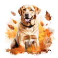 Jesienny kubek z psem – Labrador Retriever