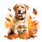 Jesienny kubek z psem – Labrador Retriever