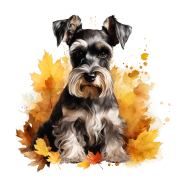 Jesienny kubek z psem – Miniature Schnauzer