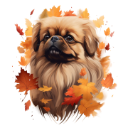Jesienny kubek z psem – Pekingese