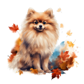 Jesienny kubek z psem – Pomeranian