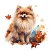 Jesienny kubek z psem – Pomeranian