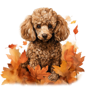 Jesienny kubek z psem – Poodle