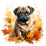 Jesienny kubek z psem – Pug