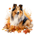 Jesienny kubek z psem – Rough Collie