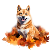 Jesienny kubek z psem – Shiba Inu