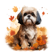 Jesienny kubek z psem – Shih Tzu