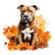 Jesienny kubek z psem – Staffordshire Terrier