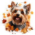 Jesienny kubek z psem – Yorkshire Terrier