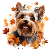 Jesienny kubek z psem – Yorkshire Terrier
