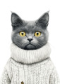 Chartreux.png