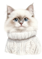 Ragdoll.png