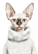 Sphynx.png