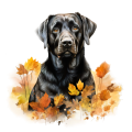 Jesienny kubek z psem – Labrador Retriever czarny