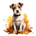 Jesienny kubek z psem – Russell Terrier