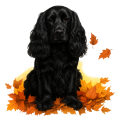 Jesienny kubek z psem – spaniel czarny