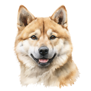Akita Inu.png