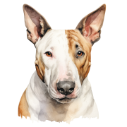 Bull Terrier.png